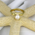 Gold Plated 925 Sterling Silver Fresh Water Pearl Ring